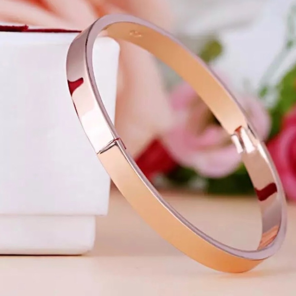 Bangle Stainless Steel Rose Gold Color - Picture 3 of 3